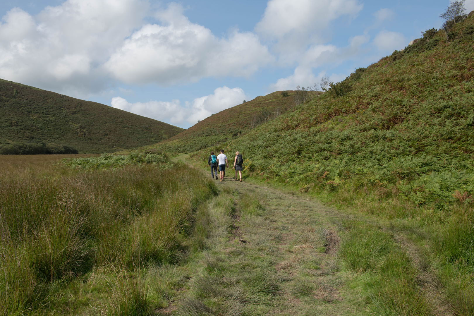 An image depicting the trail Withypool to Exe Head via Two Moors Way and its surrounding area.