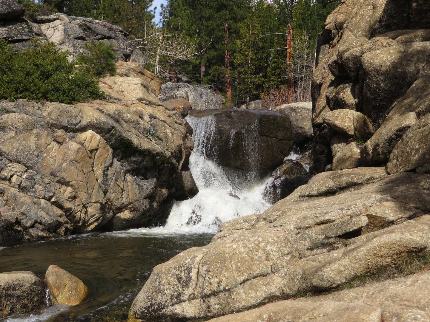 An image depicting the trail Burnside Lake Trail Out and Back and its surrounding area.