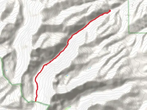 Green's Creek