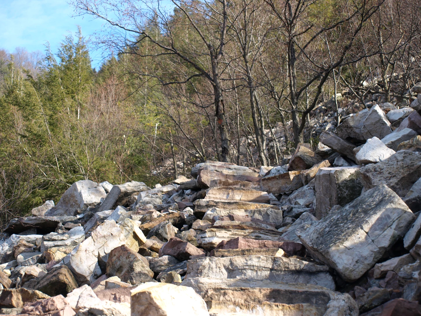 An image depicting the trail Standing Stone Trail and its surrounding area.