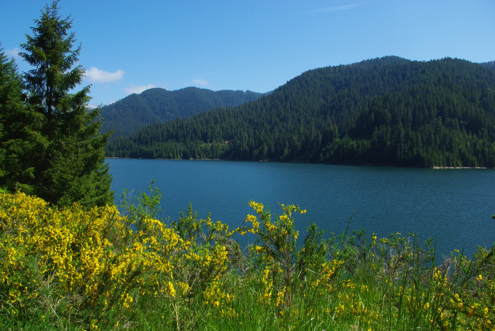 An image depicting the trail Tumble Ridge Trail and its surrounding area.