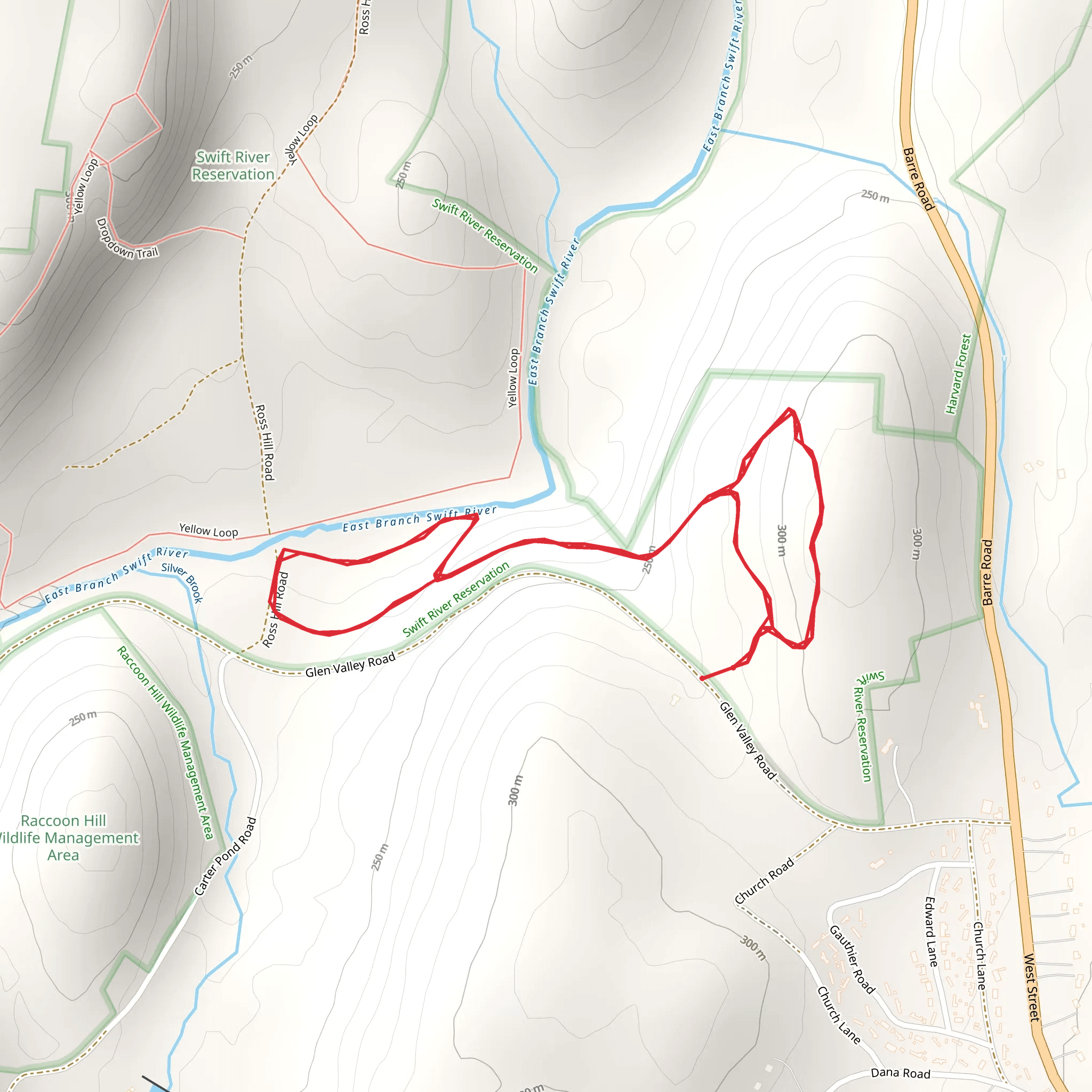 East Branch Swift River via Glen Valley Road mobile static map