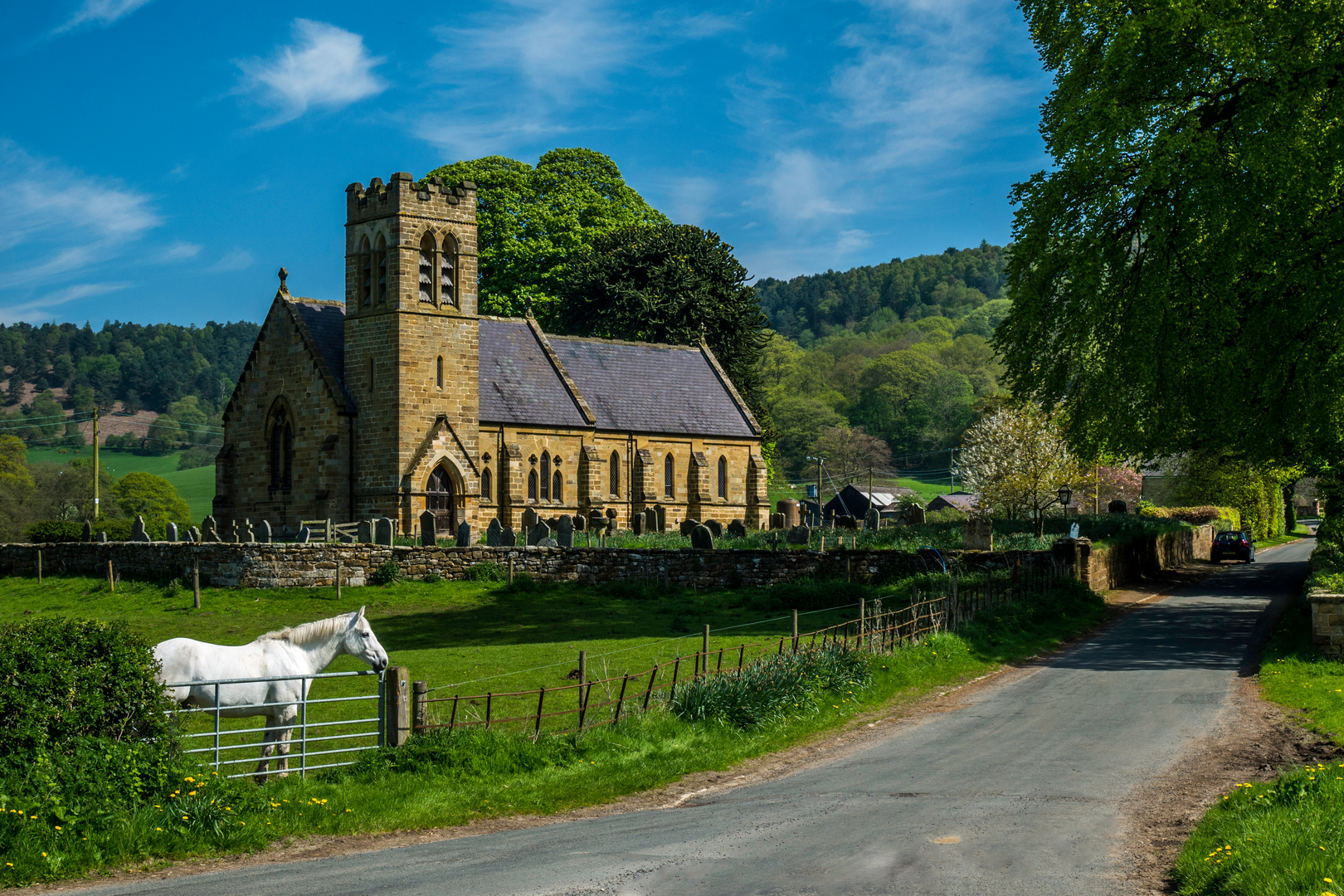 An image depicting the trail Hambleton Hillside Mosaic Walk and its surrounding area.