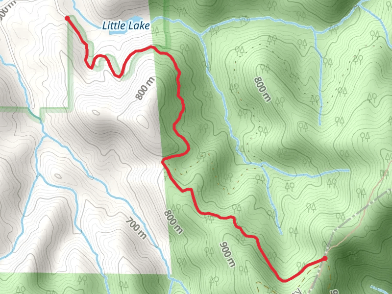 Nimblewill Gap to Road Little Lake