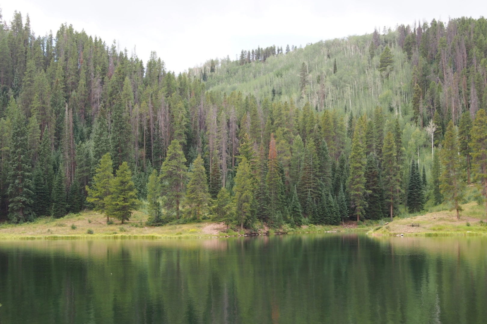 An image depicting the trail Sneve Gulch Trail and its surrounding area.