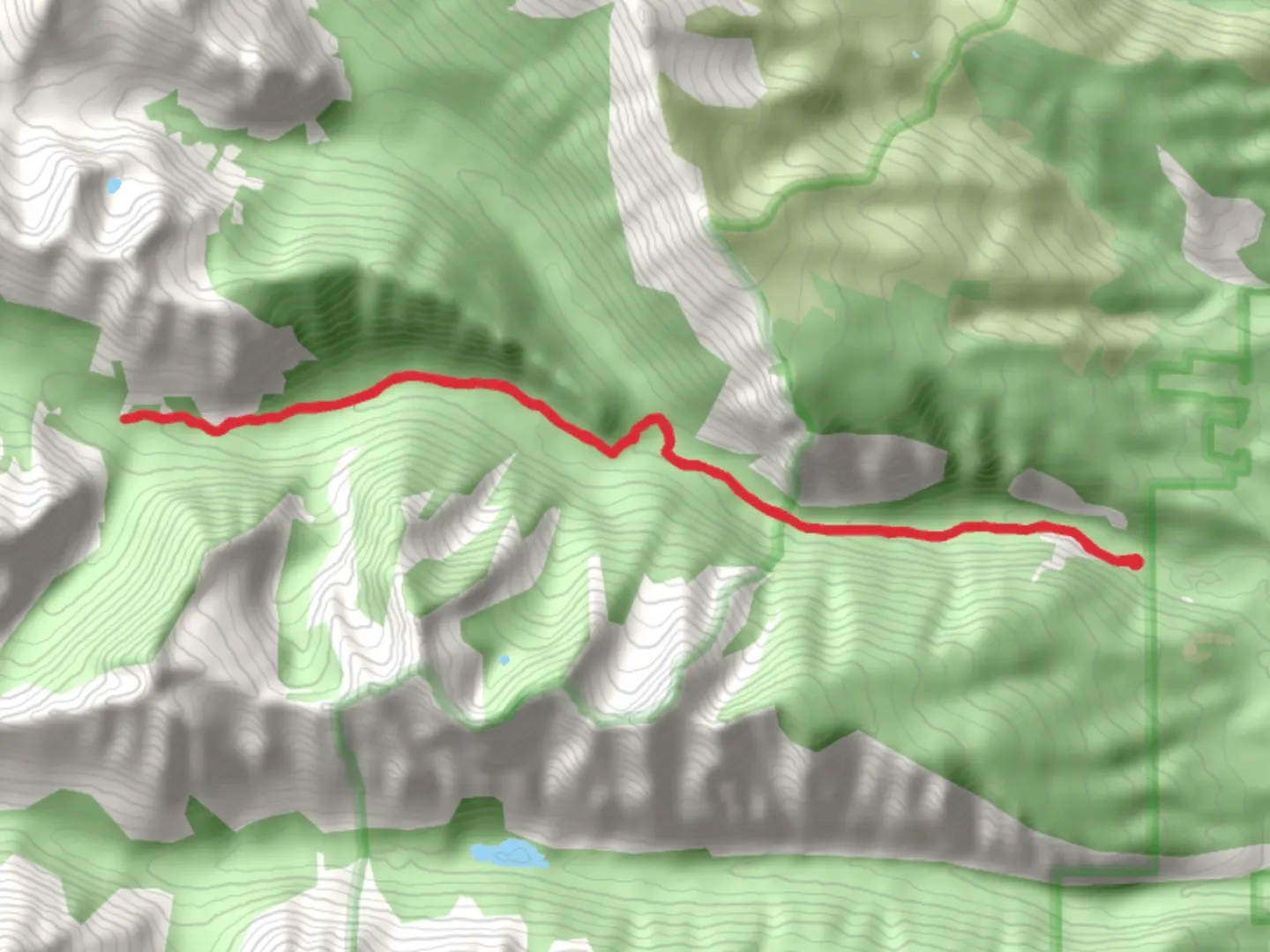 An image depicting the trail South Fork Bear Creek via Bear Creek Trail and its surrounding area.