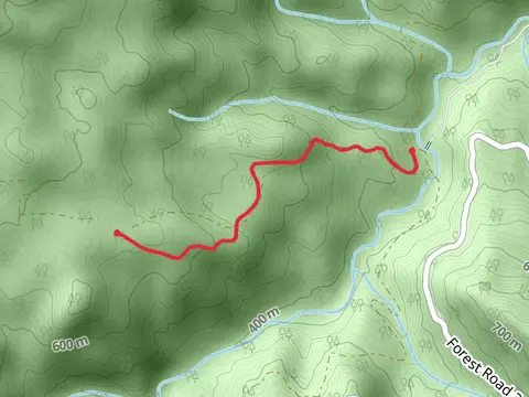 Azelea Lake Trail