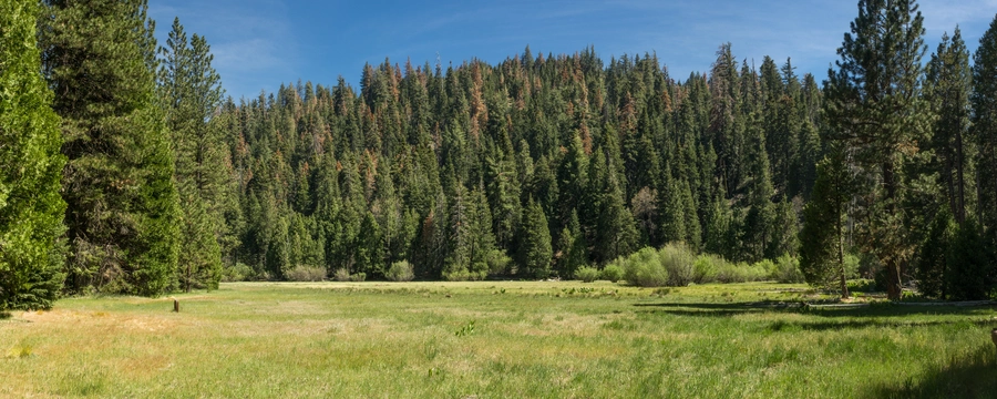Long Meadow Loop Trail