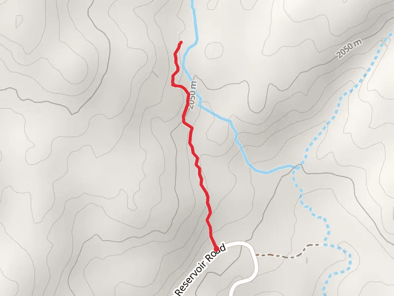 Cow Camp Trail