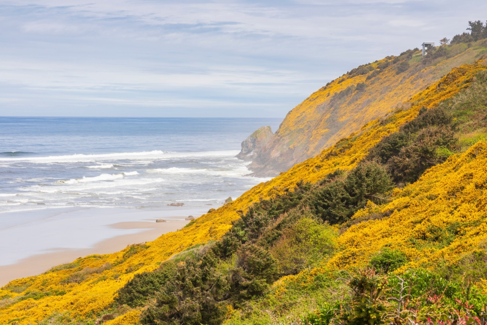 An image depicting the trail Baker Beach Trail and its surrounding area.