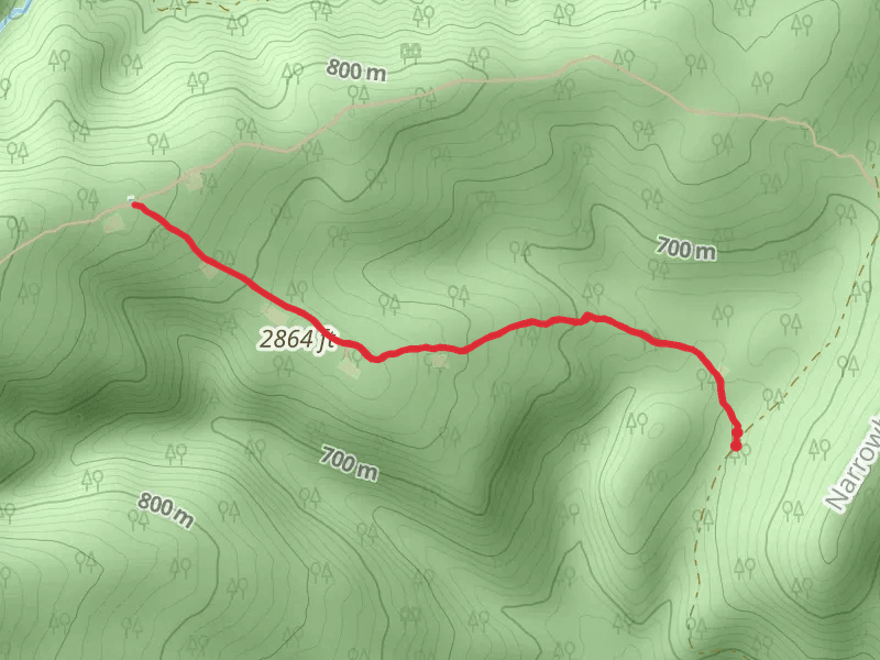 Mud Pond Gap Trail