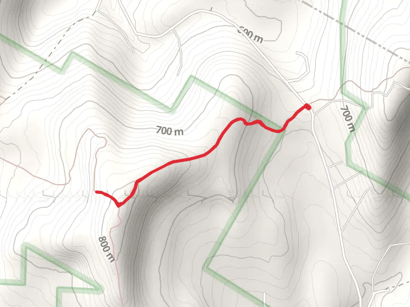 Berry Brook Road Out and Back