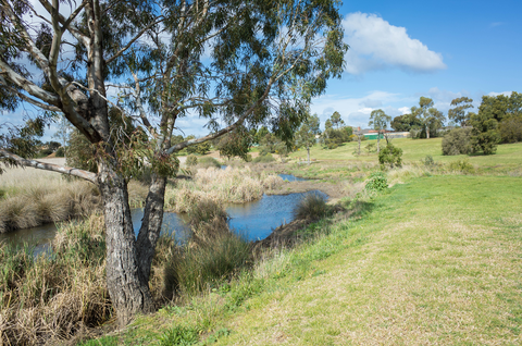 Skeleton Creek Walk from Grasslands to Wetlands
