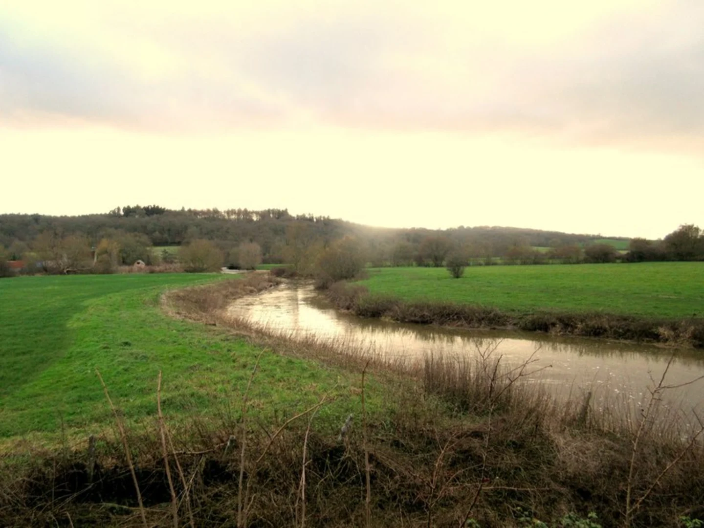 An image depicting the trail Tan-hill Copse via Stour Valley Way and its surrounding area.