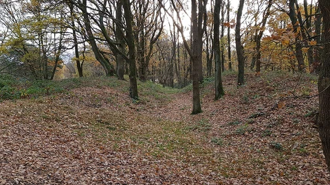 Koffiepoel, Onderste Schrieversheideven and Bovenste Schrieversheideven Loop