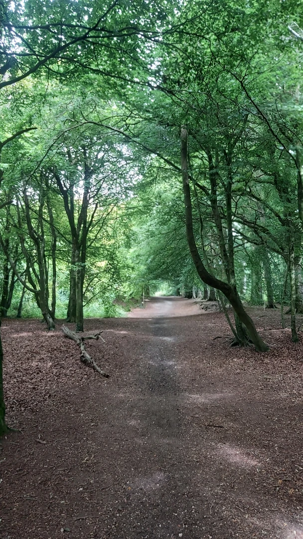 An image depicting the trail Devizes Roundway Peak Bagging and its surrounding area.