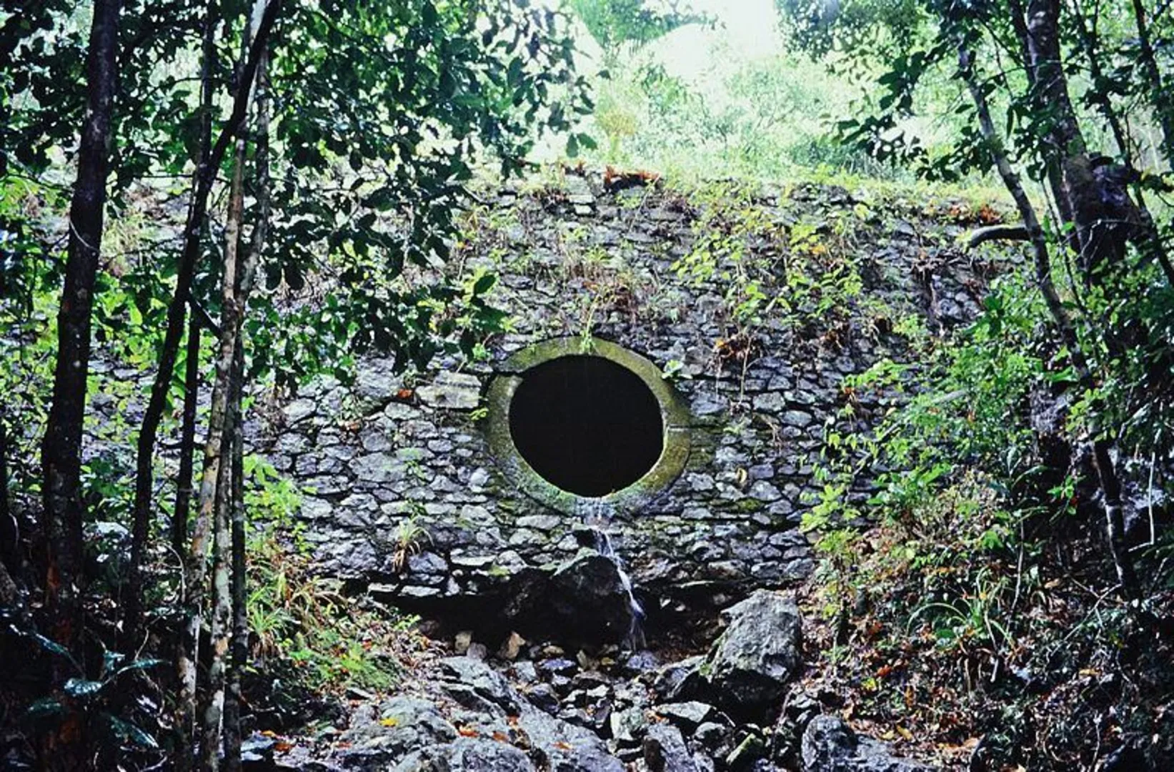 An image depicting the trail Dalrymple Gap Track and its surrounding area.