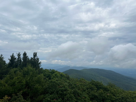 Elliot Knob via N Mountain Trail and Falls Hollow Trail