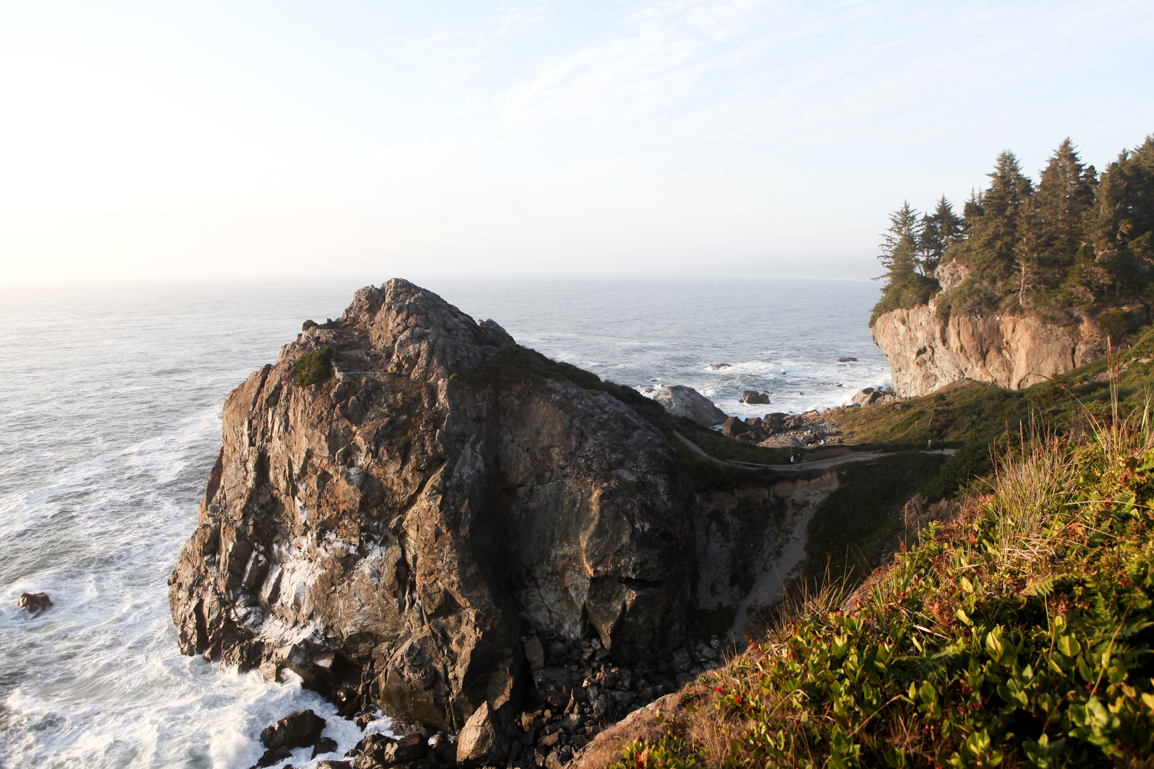 An image depicting the trail Abalone Point via Rim Trail and its surrounding area.
