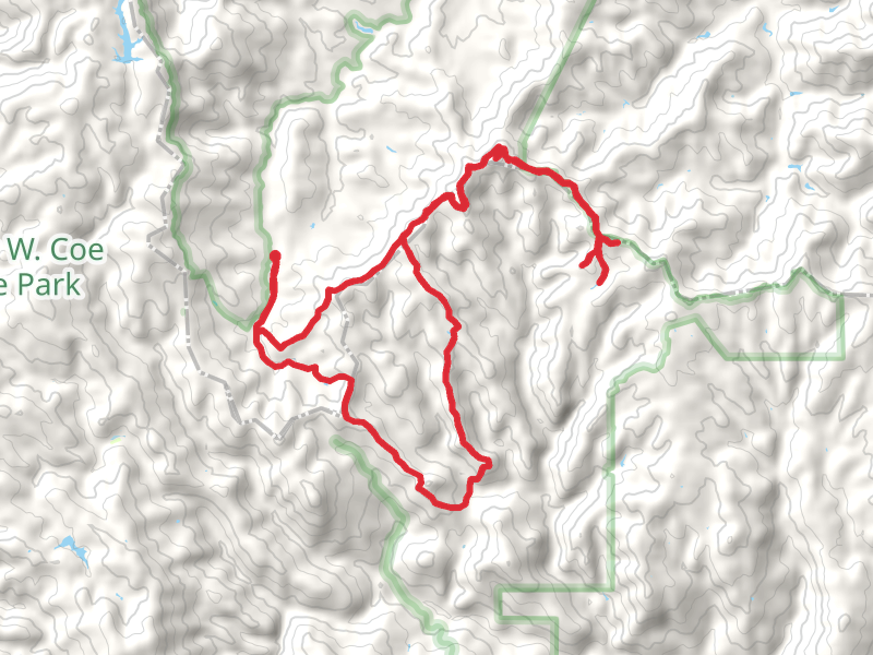 Mustang Peak, Raven Pond, Purple Pond and Dutch's Loop Trail