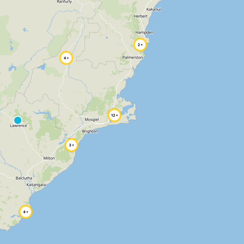 Dunedin City Static Map