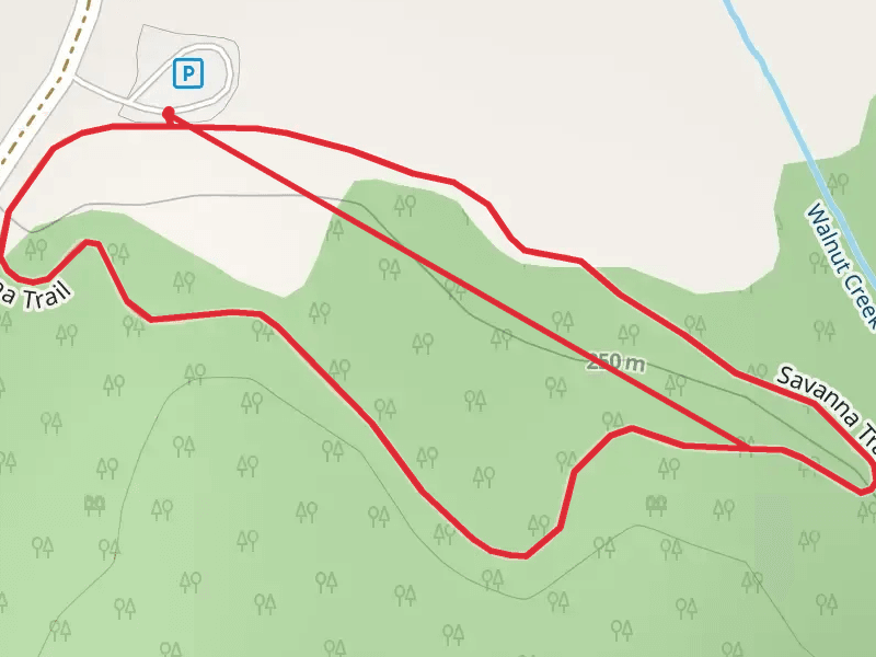 Savanna Loop Trail