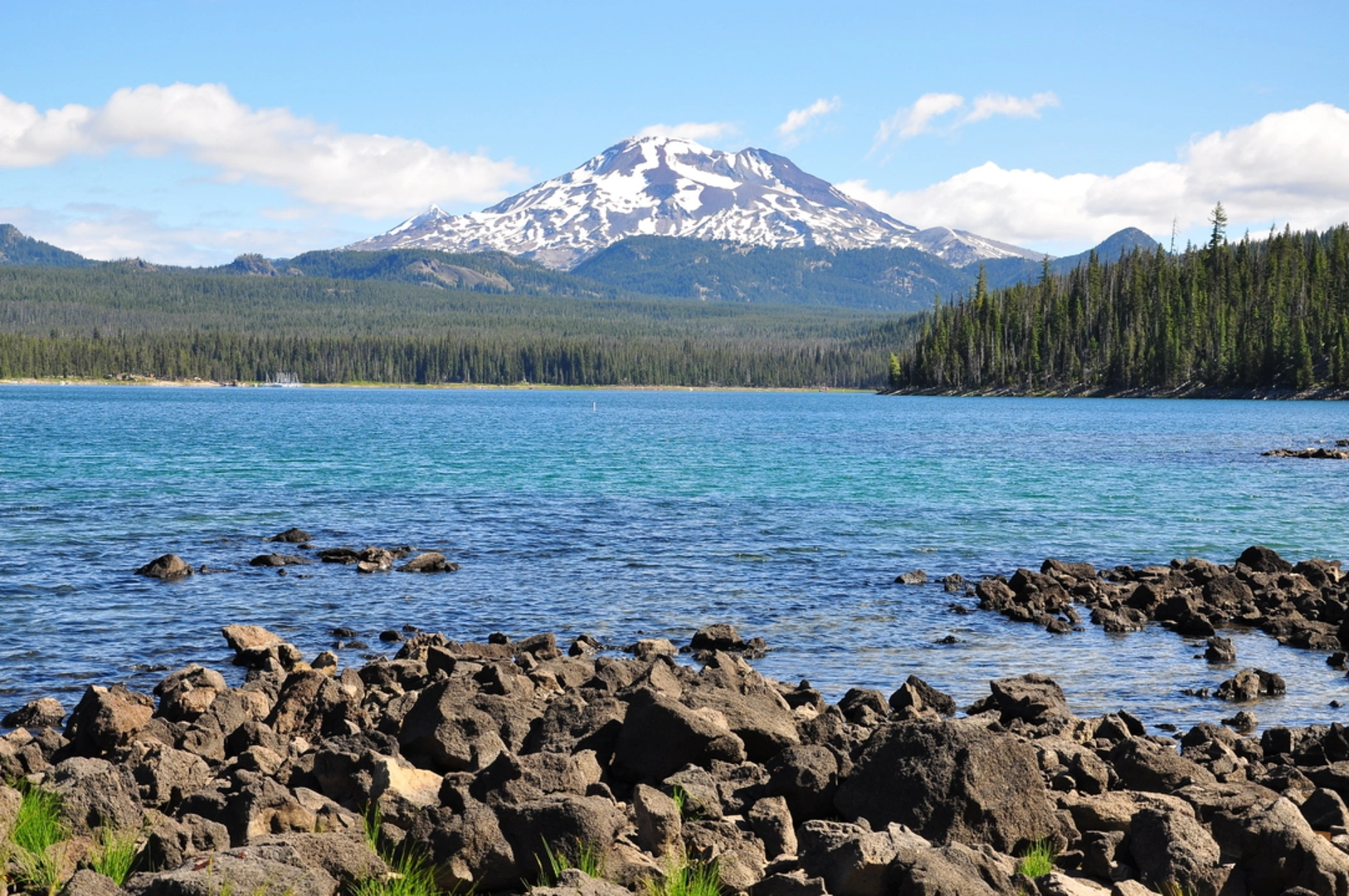 An image depicting the trail Horse Lake Trail and its surrounding area.