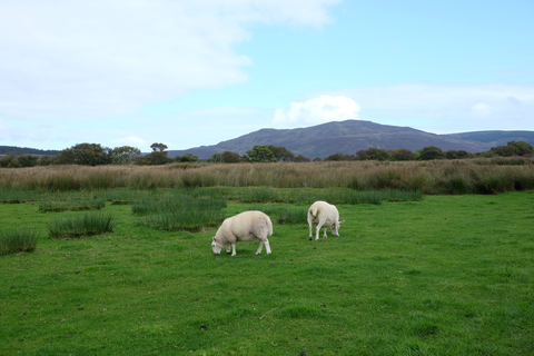 Beinn Bharrain, Mullach Buidhe, Dubh Loch, Loch Tanna and Cnoc Leana Fheior