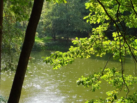Barenlochweiher via Kindsberg