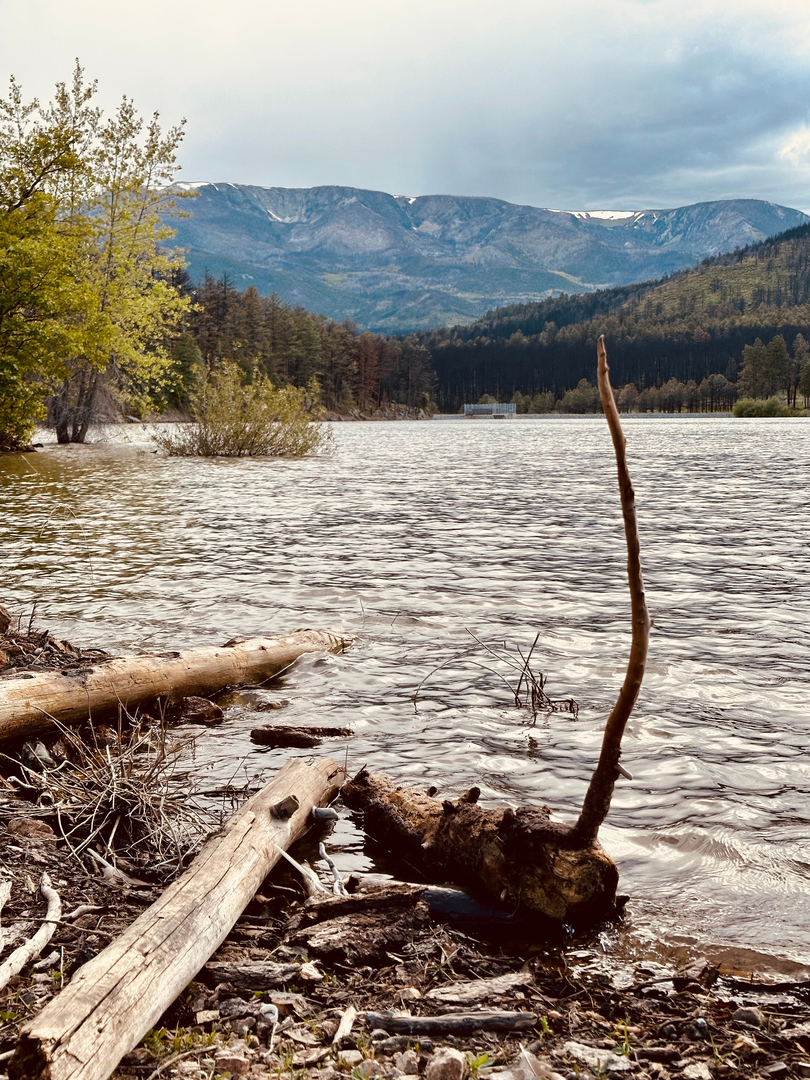 An image depicting the trail Murphy Lake Path and its surrounding area.