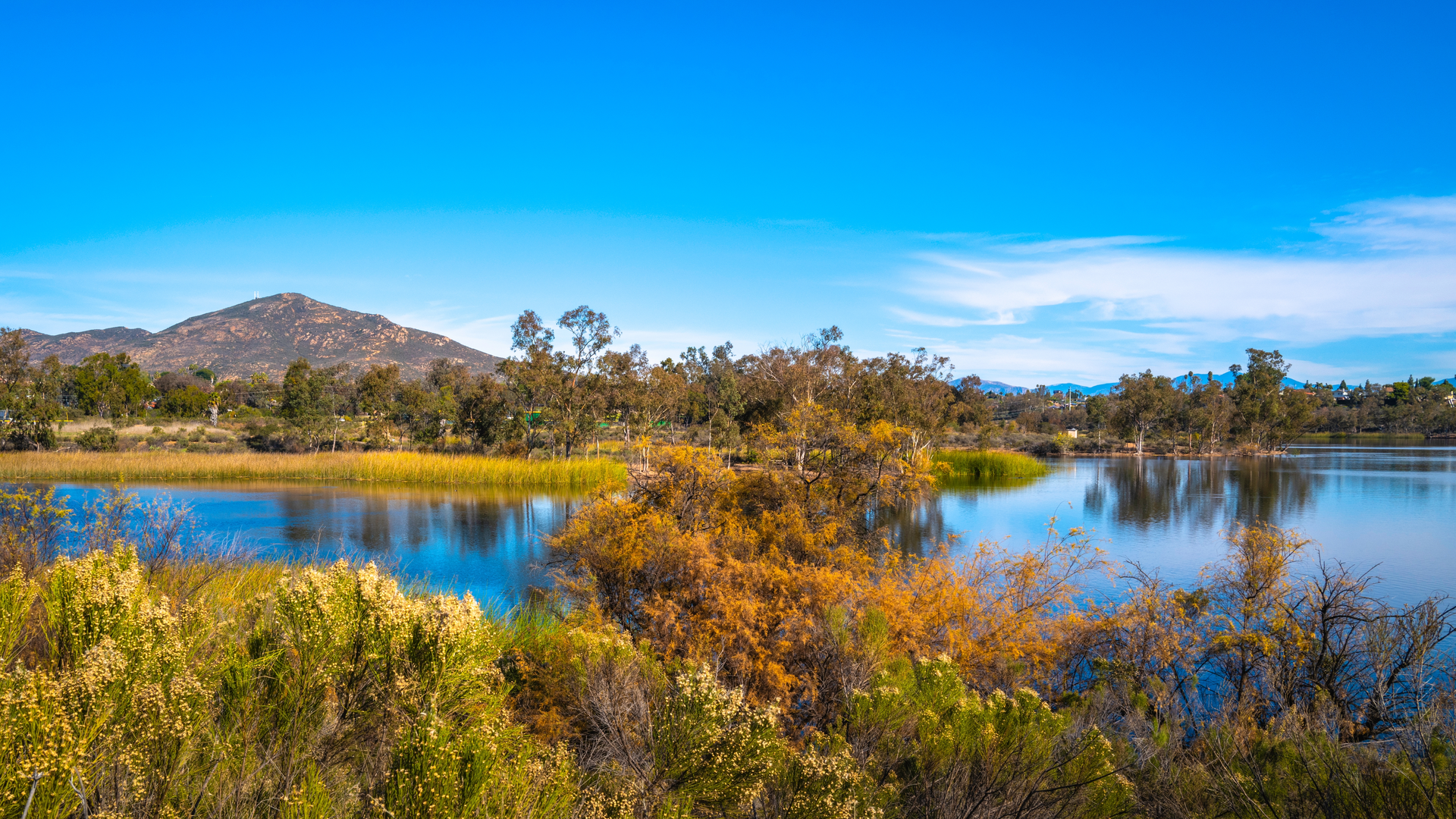 An image depicting the trail Cowles Mountain Out and Back and its surrounding area.