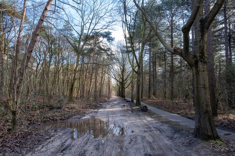 Het Buitenhuys, De Hooge Lutte and Boerrichteresch Loop
