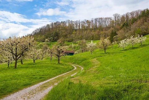 Schönbuch Westhang - Ammerbuch and Schönbuchspitz Loop via Schönbuchspitzrunde