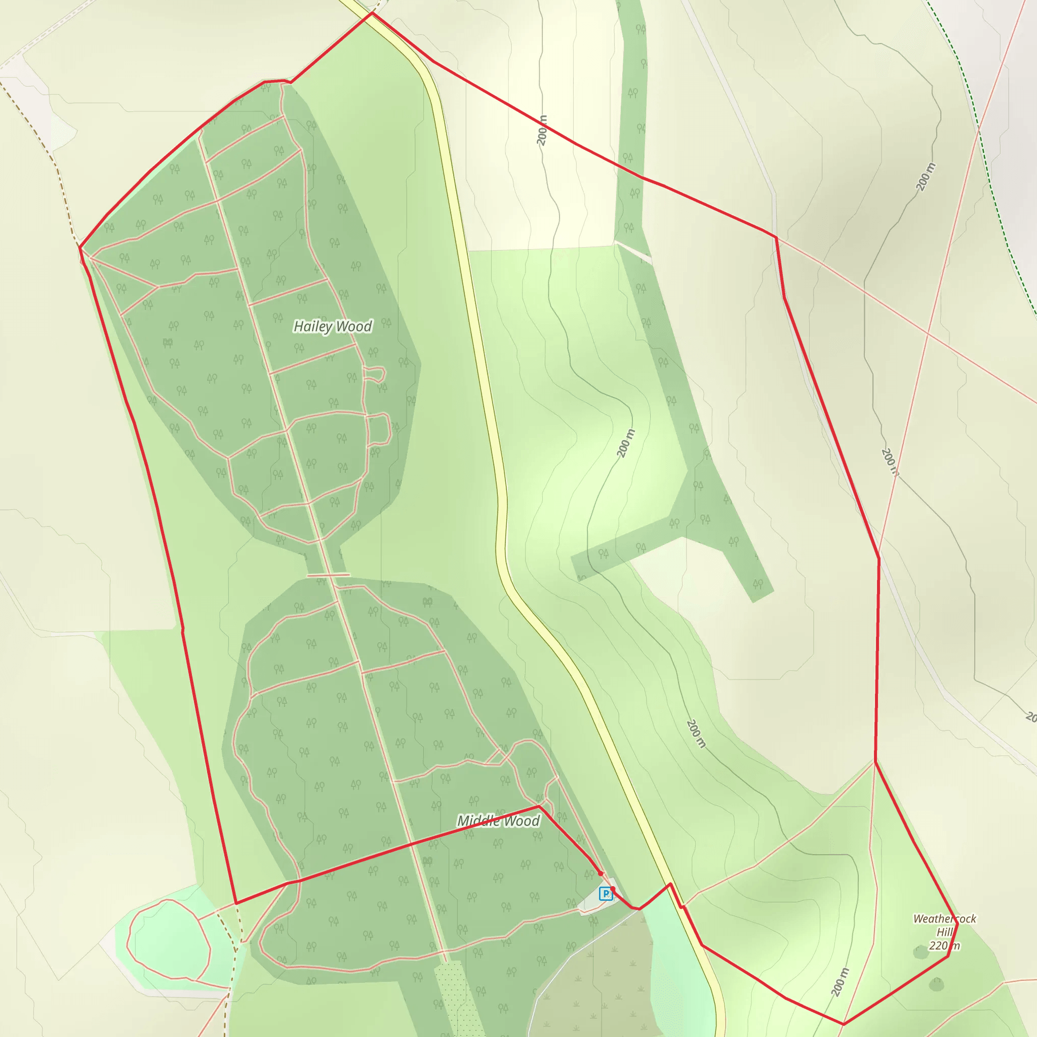 Ashdown Park and Weathercock Hill Loop | Oxfordshire | England