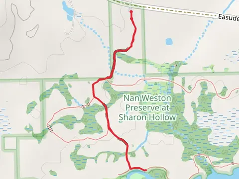 River Raisin in Nan Weston Preserve at Sharon Hollow