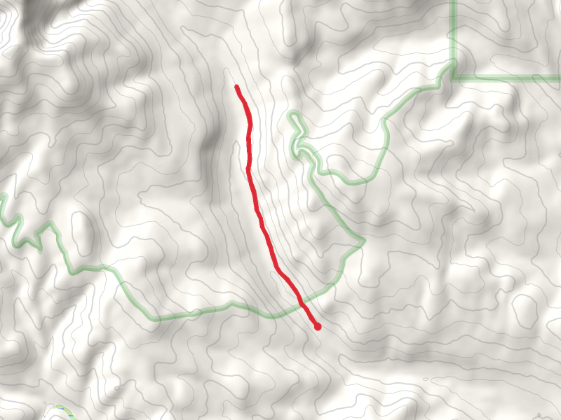 Middle Fork Trail