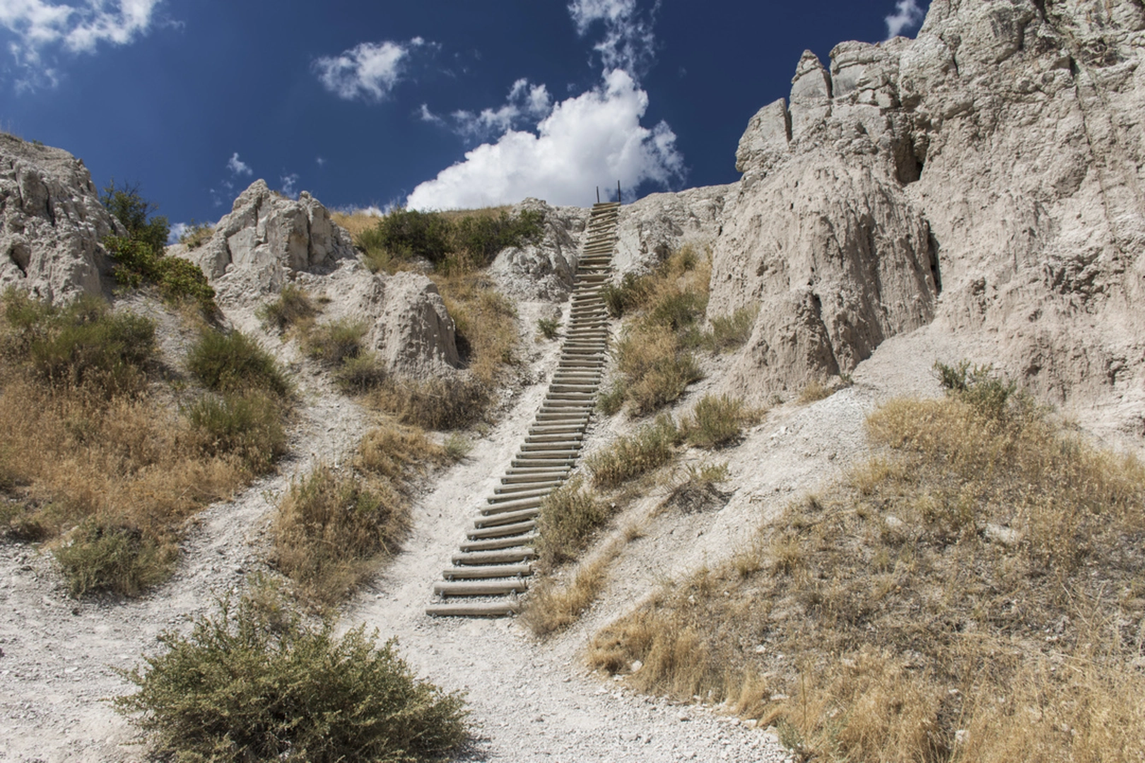 An image depicting the trail Notch Trail and its surrounding area.
