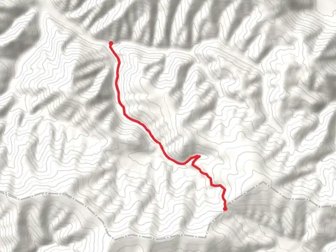 Knox Creek Trail