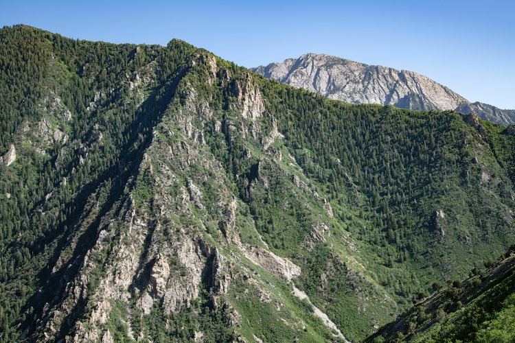 Mount Olympus Trail