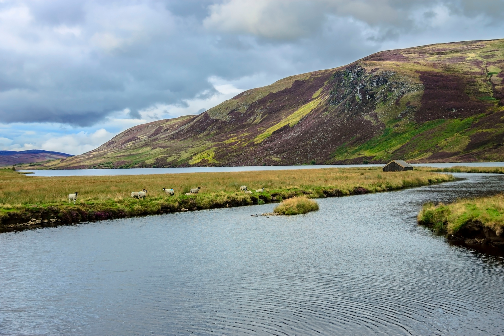 An image depicting the trail Invermark to Loch Lee, Falls of Unich and Falls of Damff and its surrounding area.