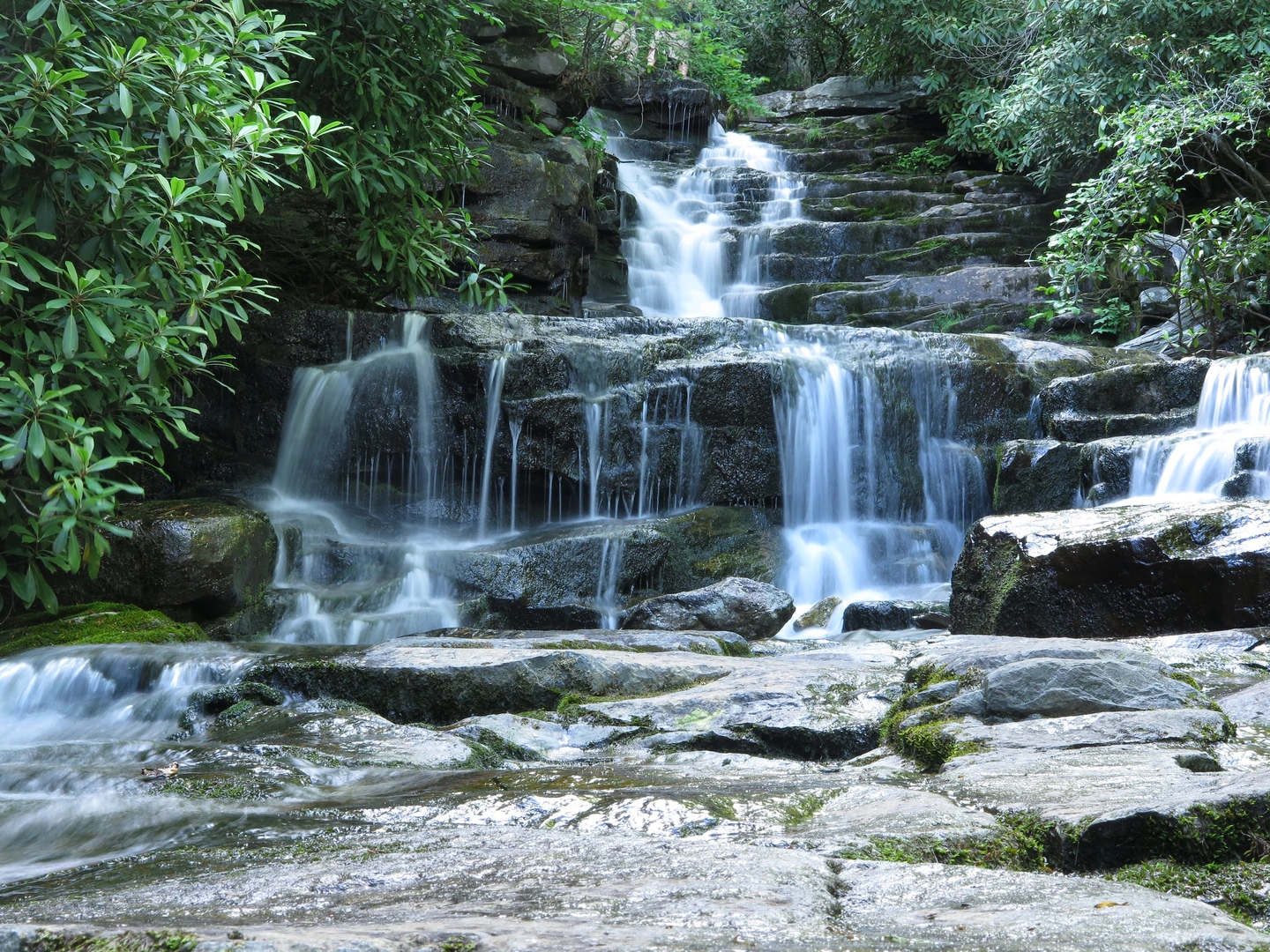 An image depicting the trail Glen Onoko Trail and Packer's Point Trail Loop and its surrounding area.