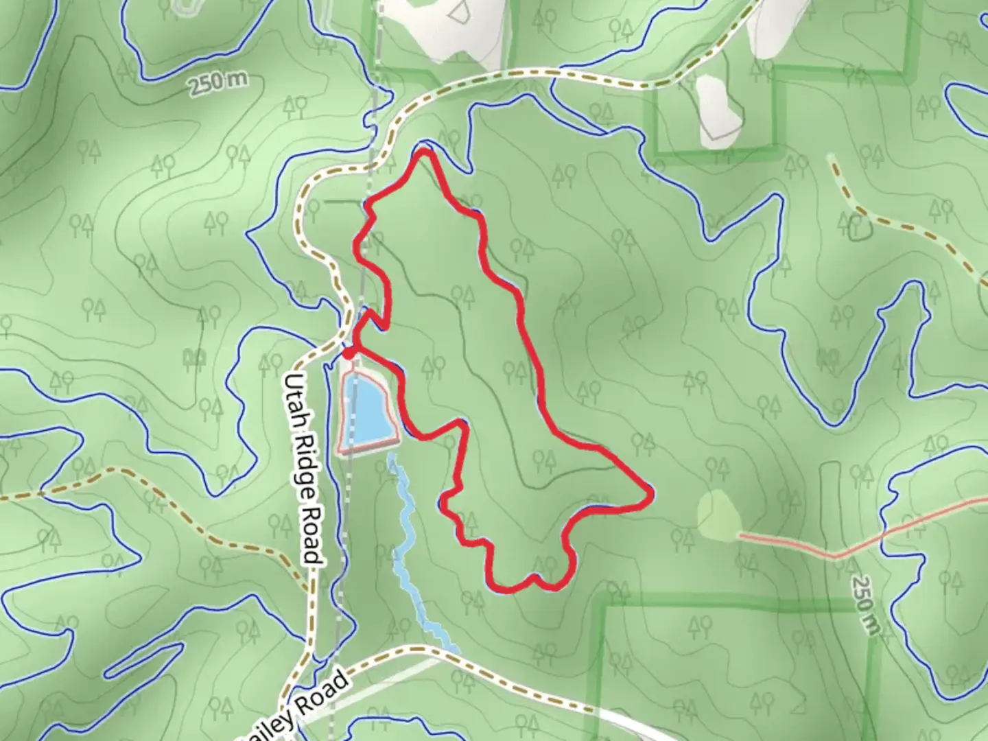 An image depicting the trail Bullfrog Loop and its surrounding area.