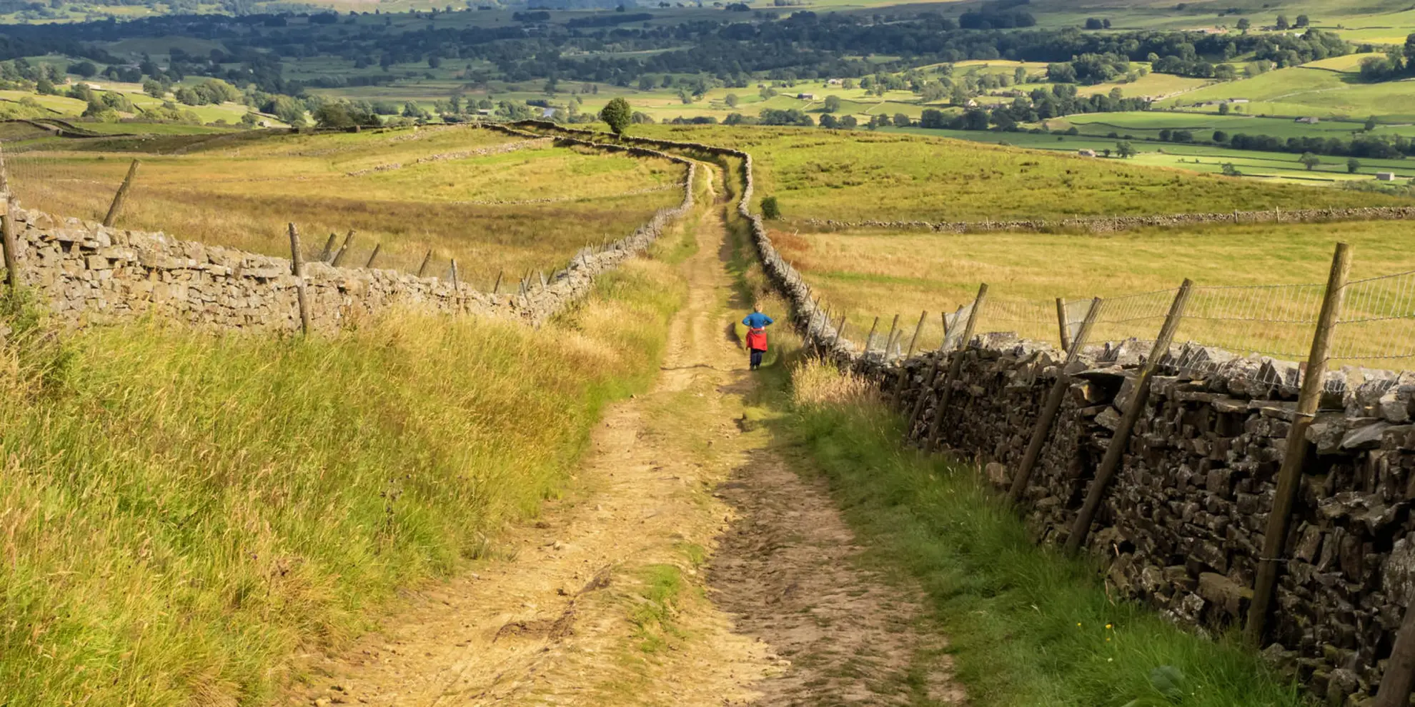 An image depicting the trail Mill Gill Force from Askrigg and its surrounding area.