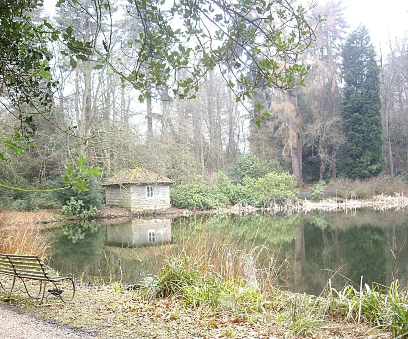 An image depicting the trail East Wood, Garden Pond and Middel Pond Loop and its surrounding area.