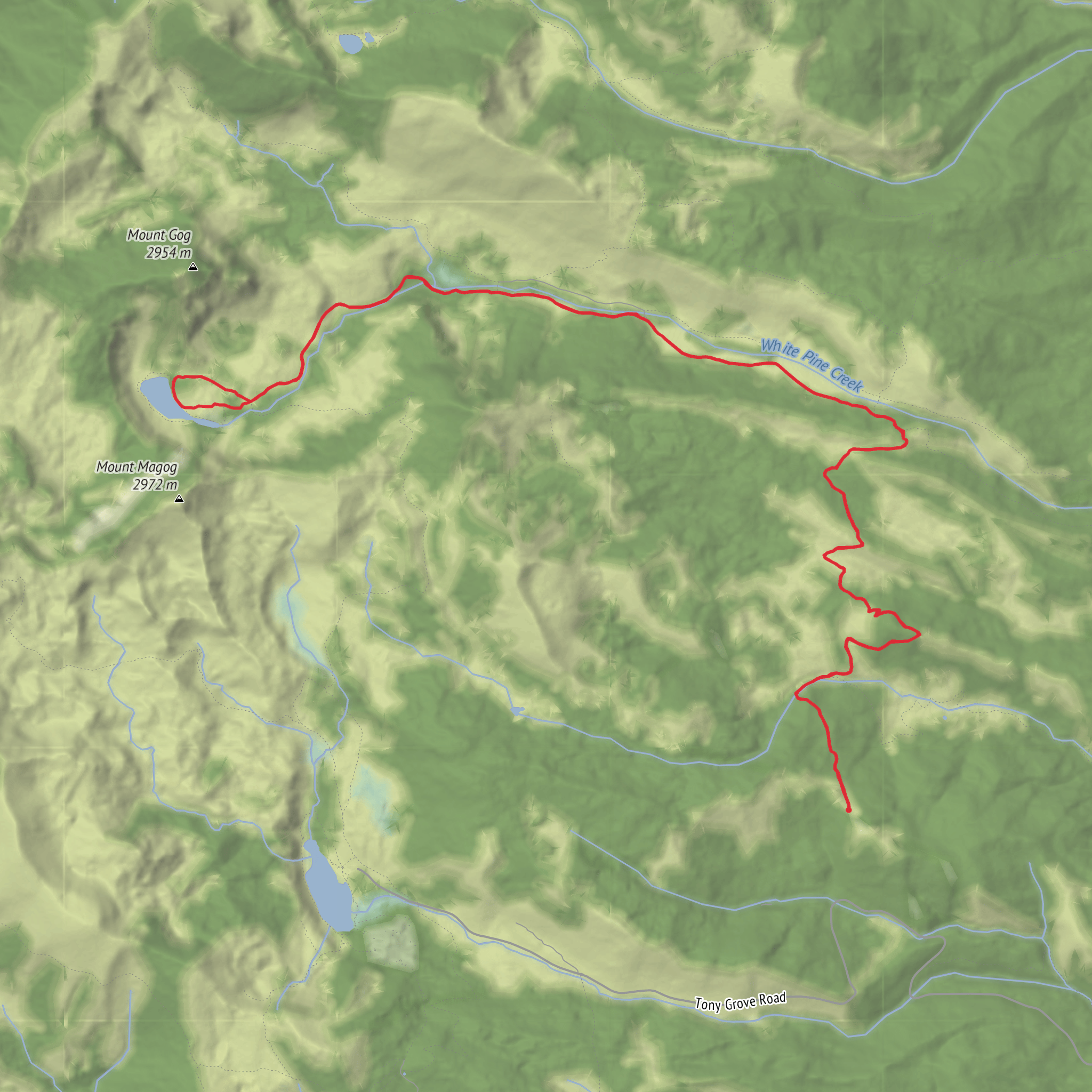 White Pine Lake from Forest Road mobile static map