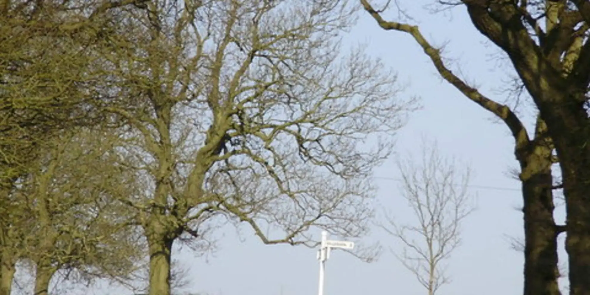 An image depicting the trail Rolleston and Skeffington from Billesdon and its surrounding area.