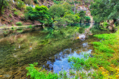 Jenolan River Track
