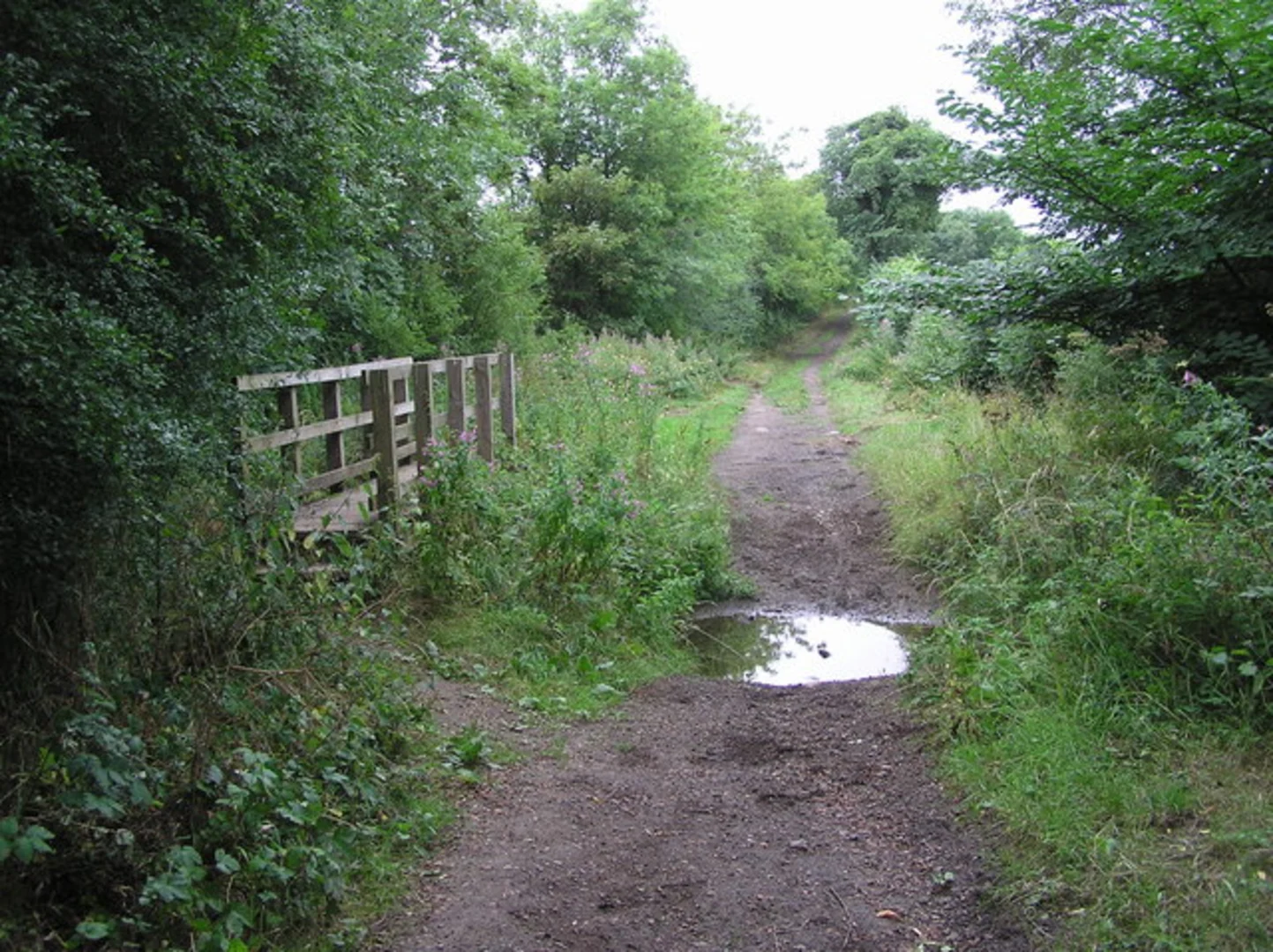 An image depicting the trail Brafferton Country Park Loop and its surrounding area.