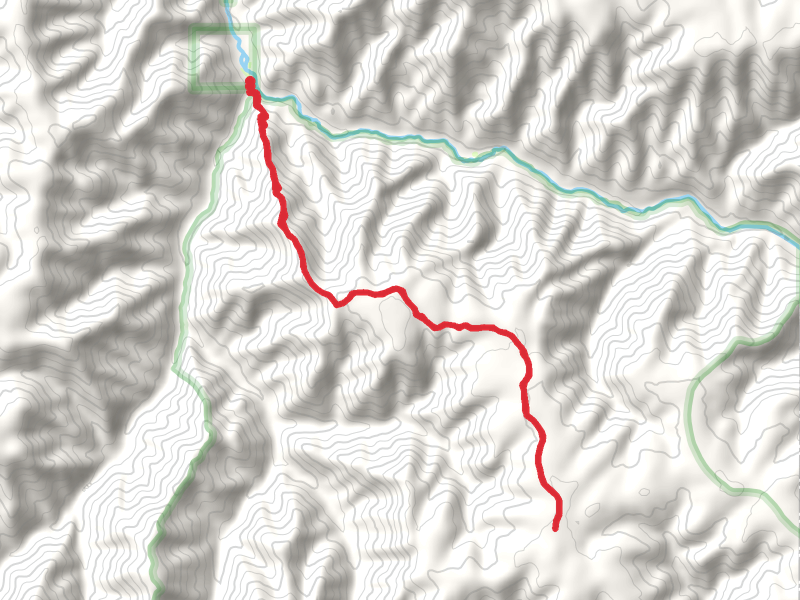 Rattlesnake Trail Out and Back