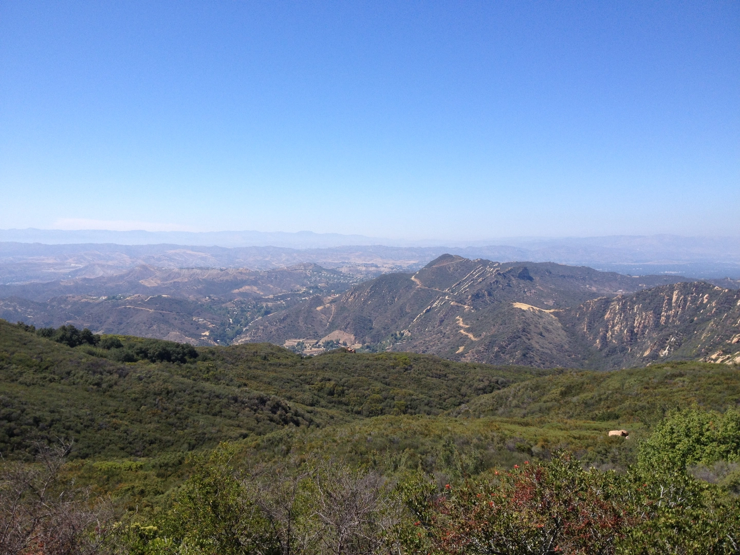 An image depicting the trail Musch and Eagle Rock Loop Trail and its surrounding area.